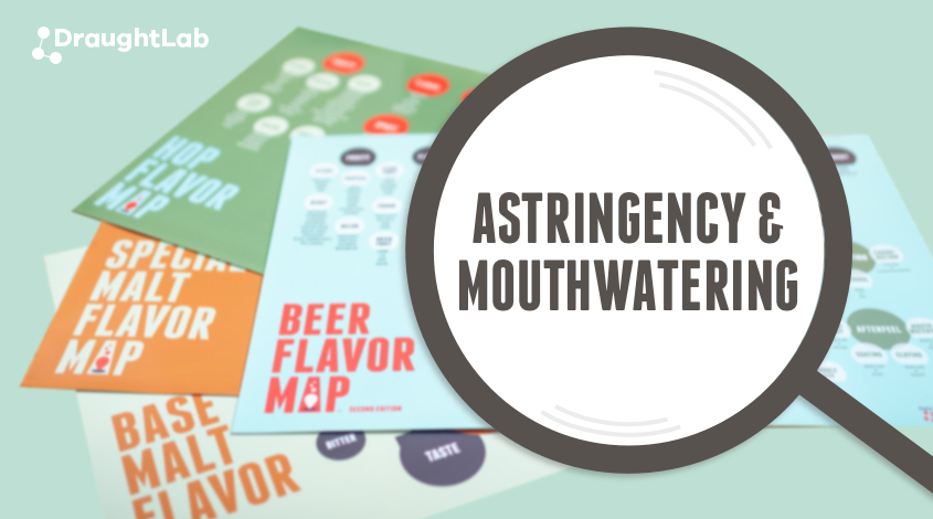 Illustration highlighting astringency and mouthwatering on flavor maps.