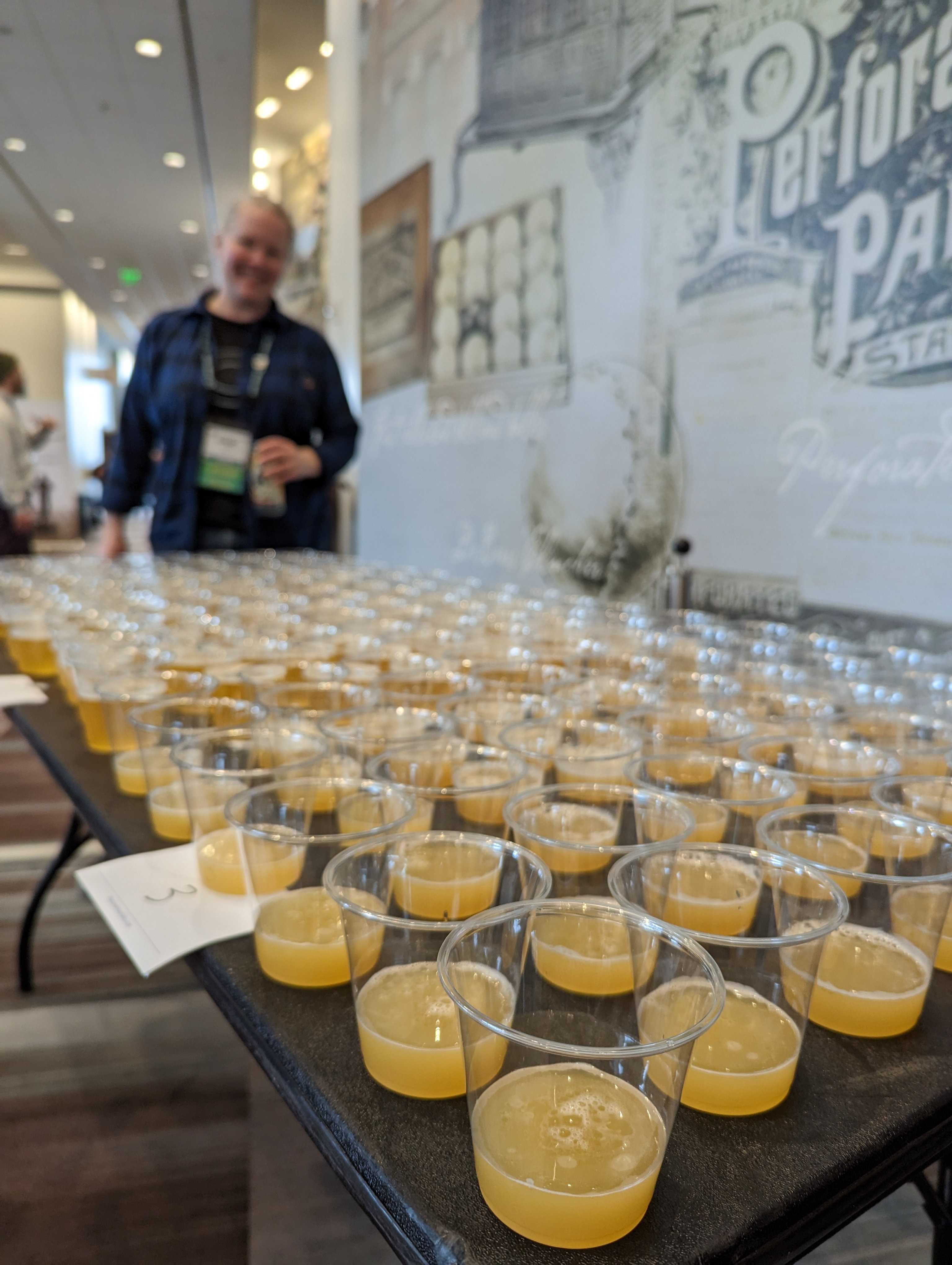 Rows of beer tasting samples prepared for a conference consumer research study.